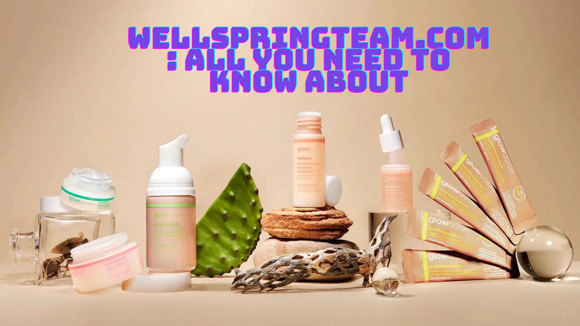 wellspringteam.com